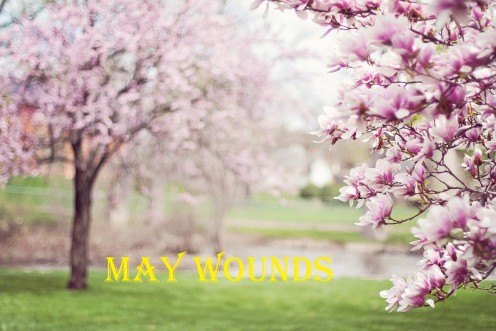 May Wounds