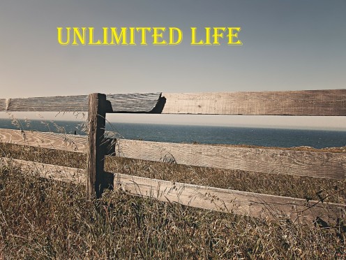 Unlimited Life
