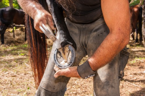 A farrier plying his trade with the horses
