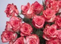 Loving Someone With Bipolar Disorder