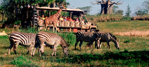 Kilimanjaro Safari at Animal Kingdom