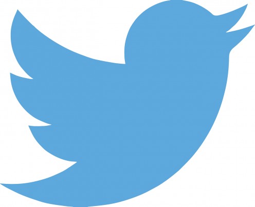 The symbol of Twitter.