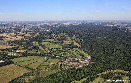 Aerial view of Epping Forest near London--note the interface of settled and wild areas