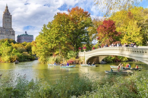 Ornate bridge in Central Park--shades of the Bois de Boulogne and the City Beautiful movement inherited from Europe
