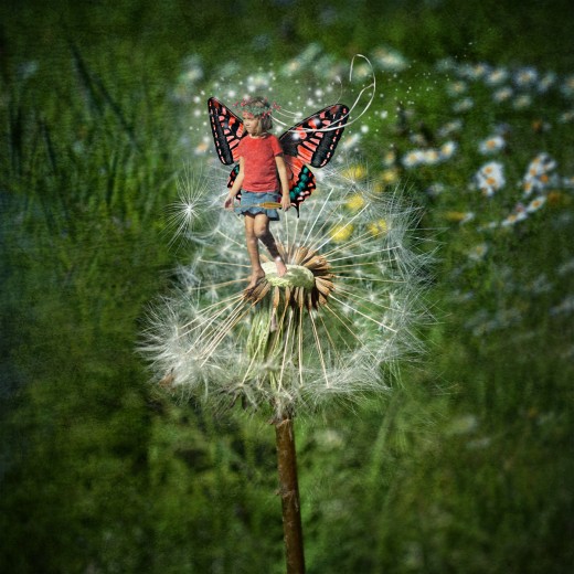 The Dandelion Fairy