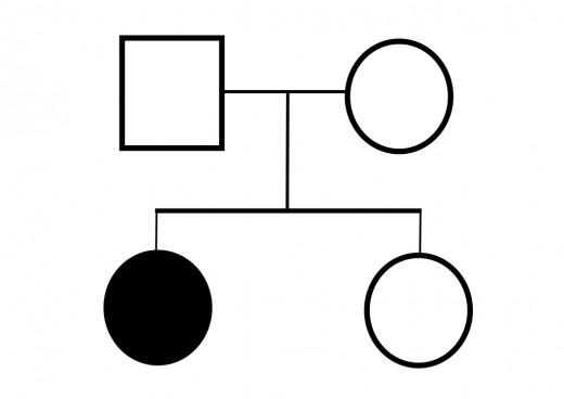 Illustration 5: A Genealogy of a nuclear family where one daughter has a rare characteristic