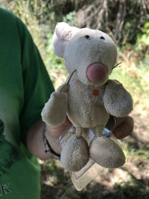 A plush trackable that we found recently. He's on a "rat race"!