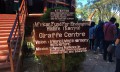 Giraffe Center, Place to Visit in Nairobi