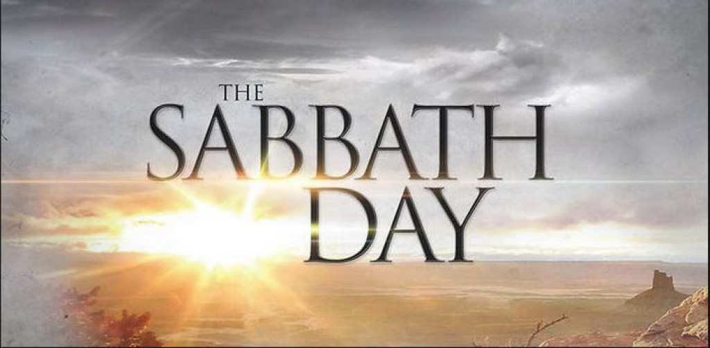 keeping-the-sabbath-even-jellyfish-sleep-hubpages