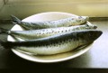 Frozen Seafood Versus Fresh Seafood: Some Interesting Facts