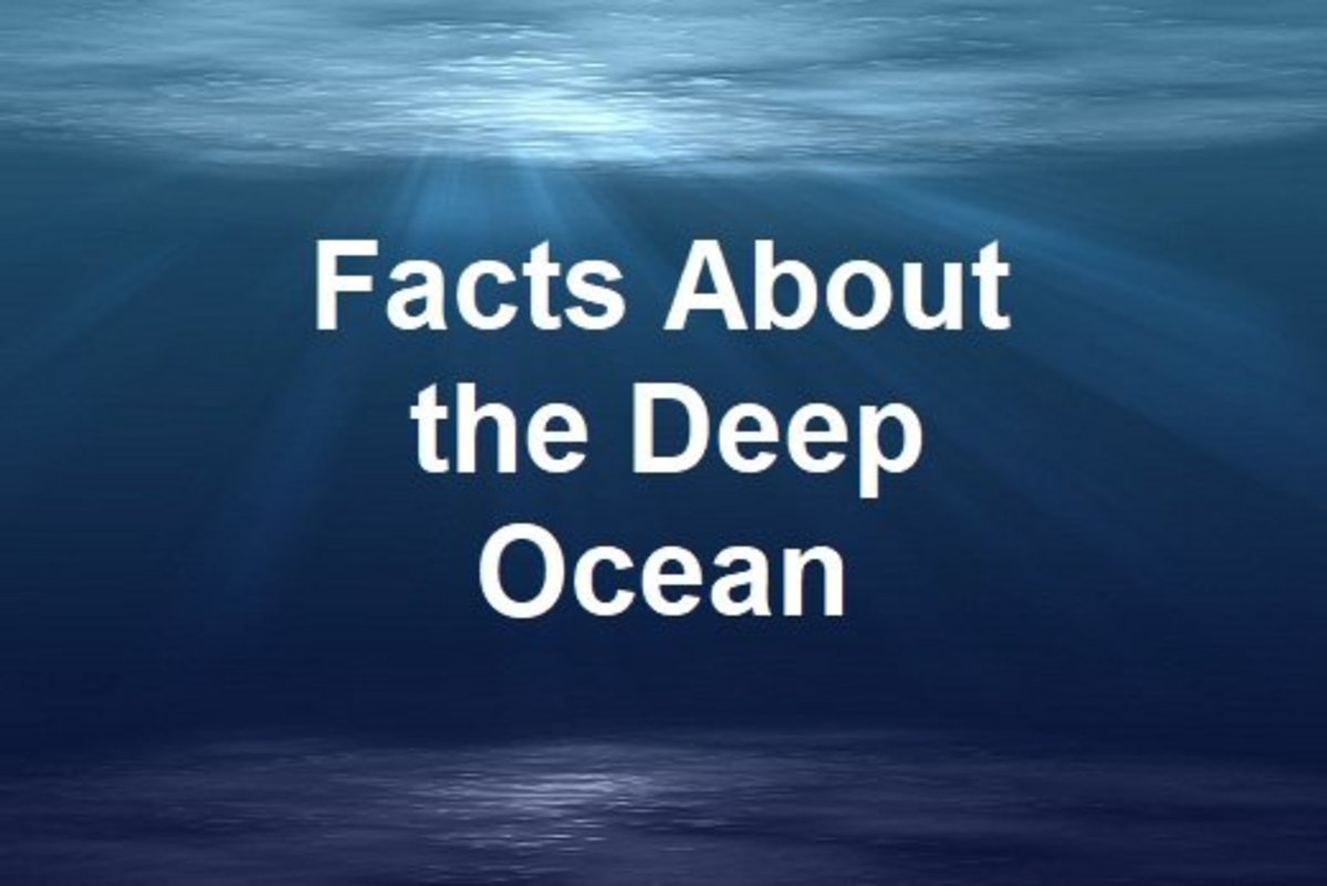 10 Fascinating Facts About The Deep Ocean Hubpages