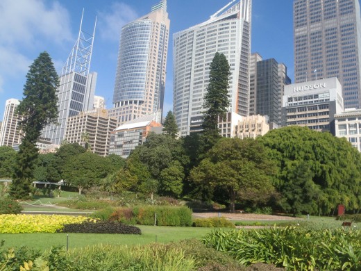 The Botanic Gardens and Sydney skyscrapers.