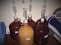 Make Your Own Wine at Home. Cheap and Simple.