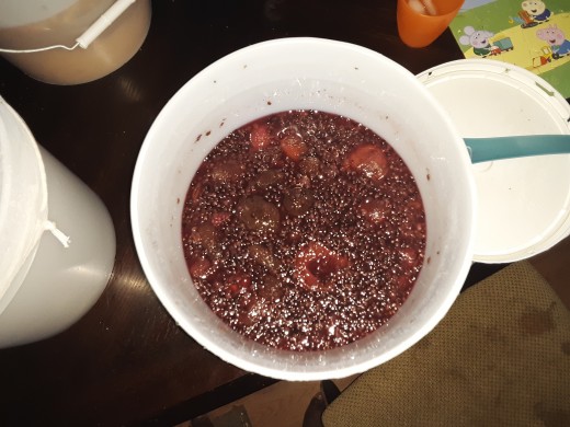 Fruit, water and pectin enzyme ready for 12 hours soak