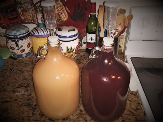 First round wine in demijohns
