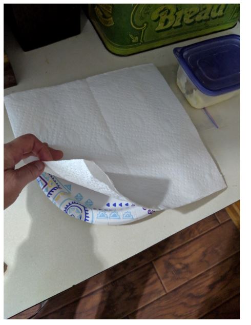 paper towel on paper plate