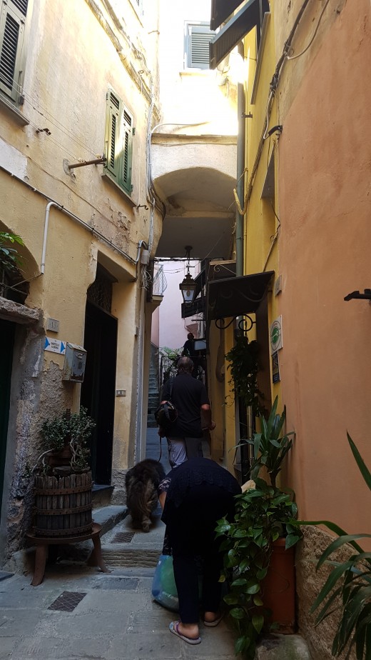 narrow street pasage between the Typical Ligurian Houses with arch buildings in Vernazza