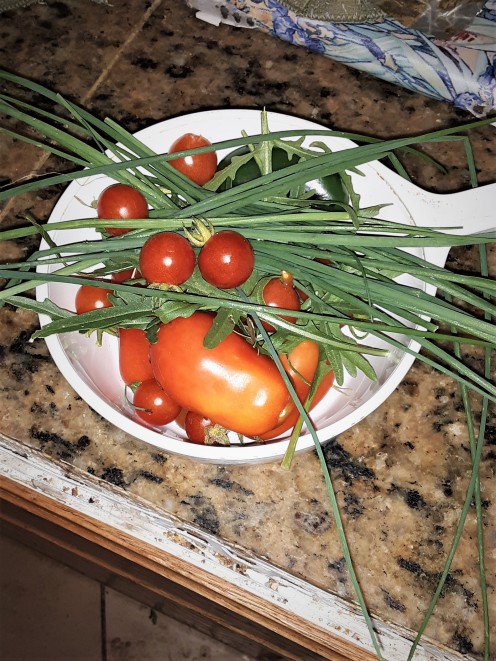 Hummus veggie starter ingredients