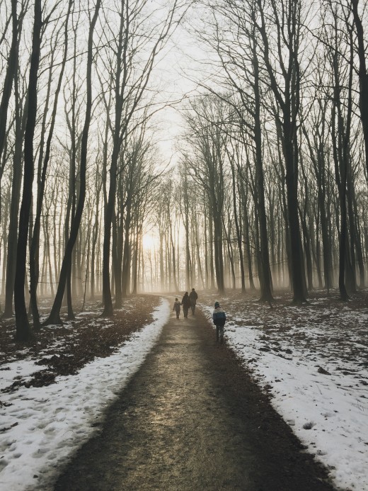 Photo by Patrick Reichboth on Unsplash