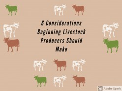 Six Considerations Beginning Livestock Farmers Must Make