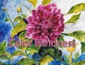 Color Blindness All Around Us
