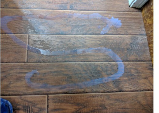 squirt polish on floor in S shape