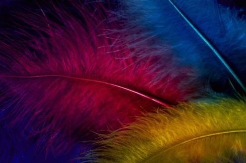 light as feathers...