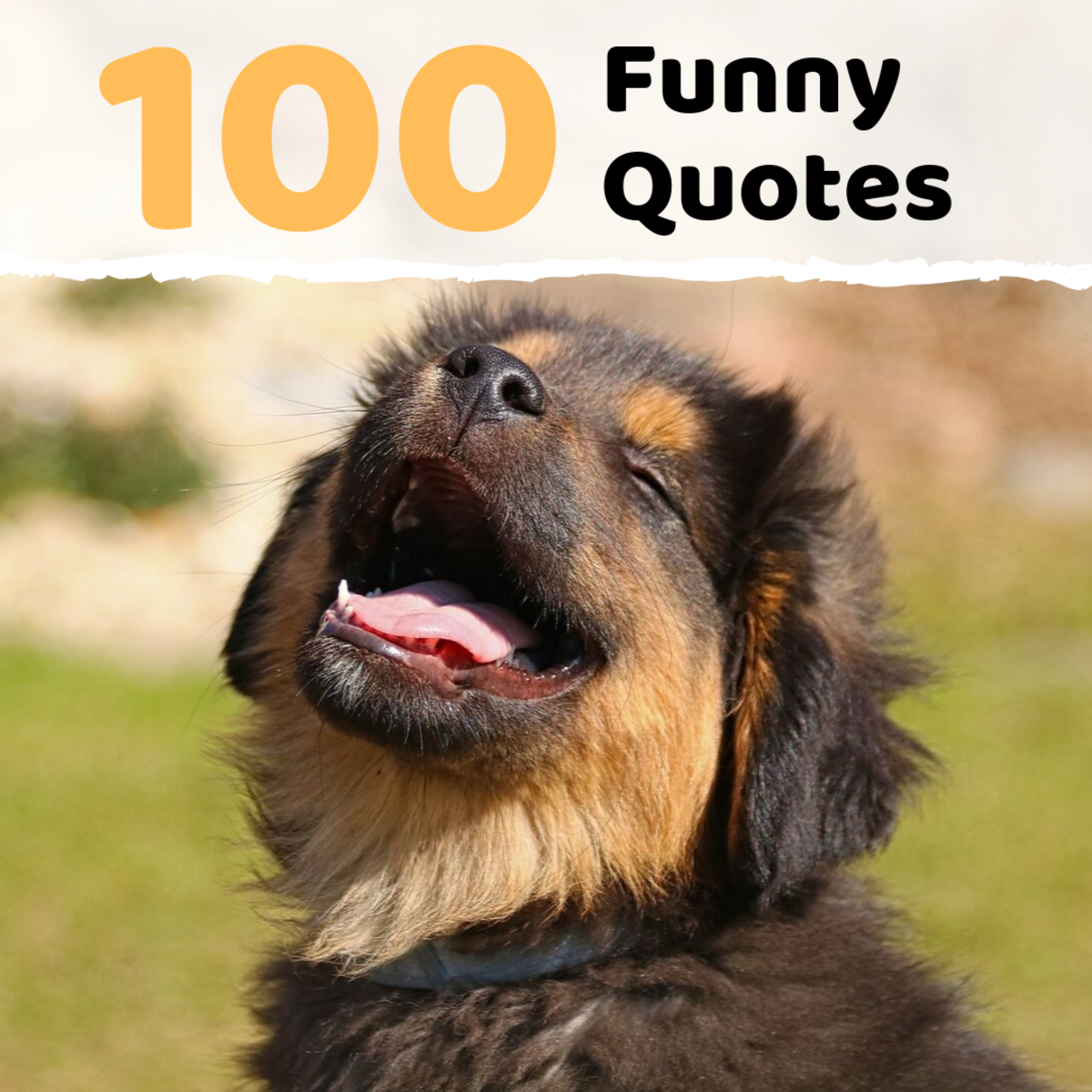 Humorous Quotes - Homecare24