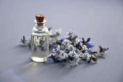 Essential Oils for Bug Bites - Stop Itching and Swelling