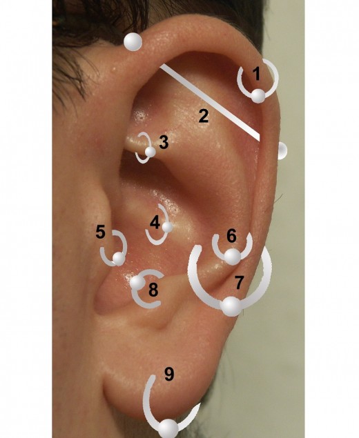 How To Choose Earrings For Sensitive Pierced Ears Tatring How To Choose Earrings For Sensitive Pierced Ears Tatring