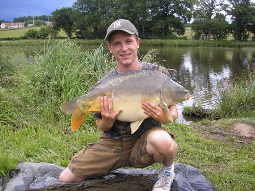 Mirror Carp