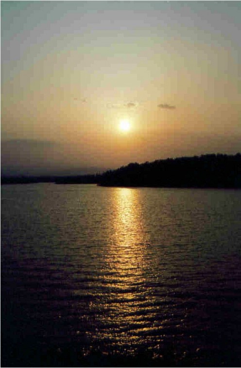 Fearing that this might not last, I pass on what is now.