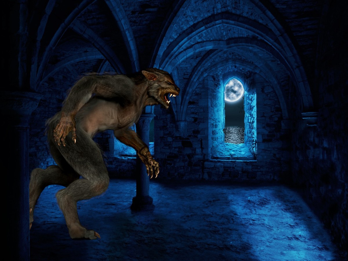 Werewolf and full moon