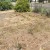 Garden, what garden. No green grass in sight