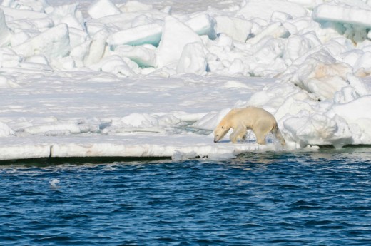 Alaska ice melt at a rapid pace