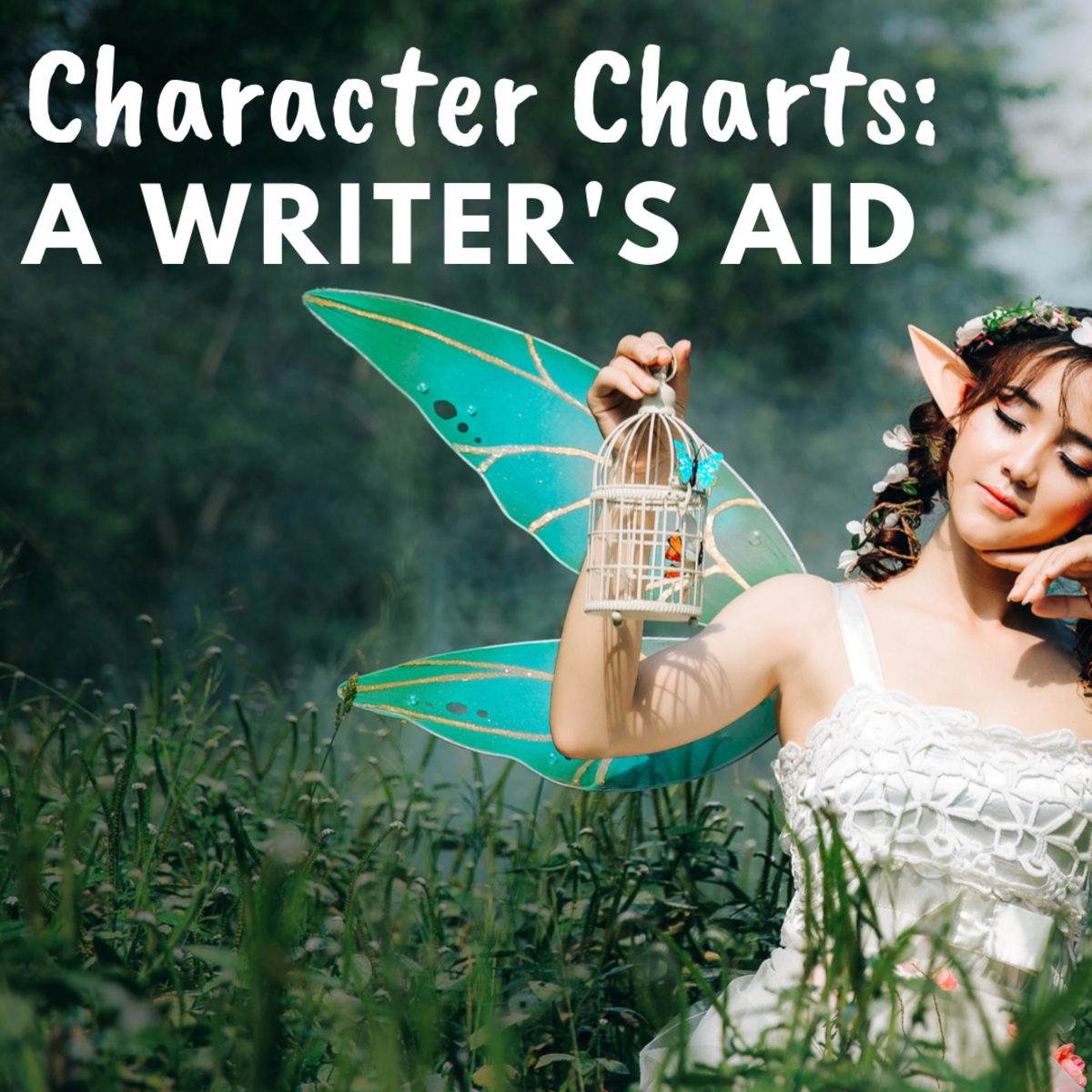 Fiction Writer S Character Chart