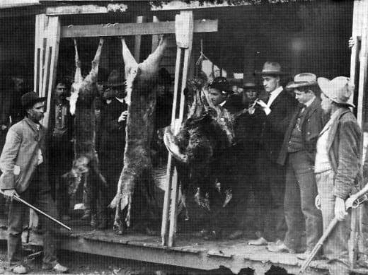 Meat Market in Poteau