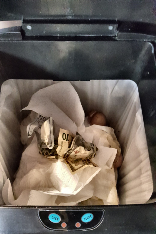 Cash in The Trash!