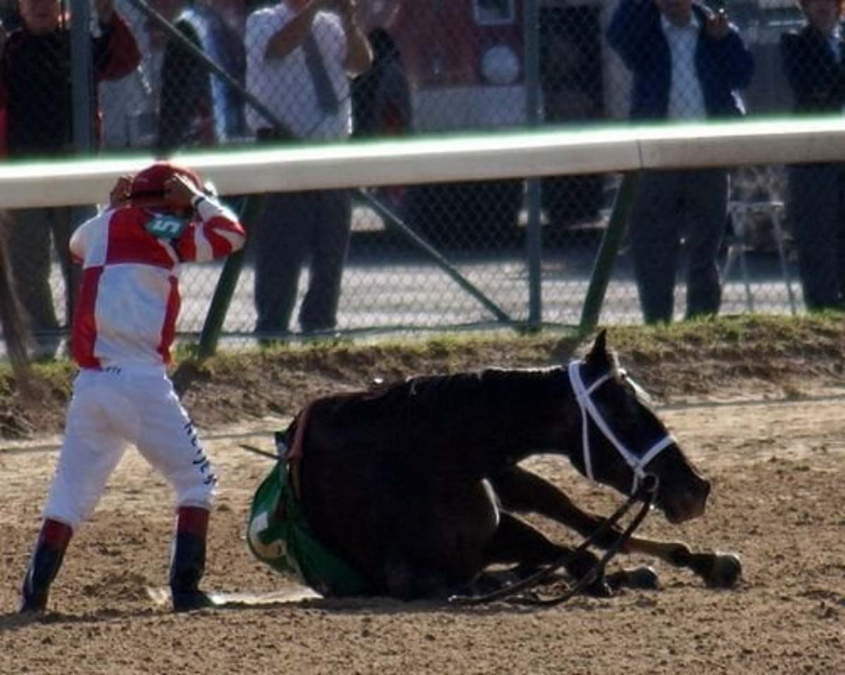 Horse Racing: Death on the Tracks