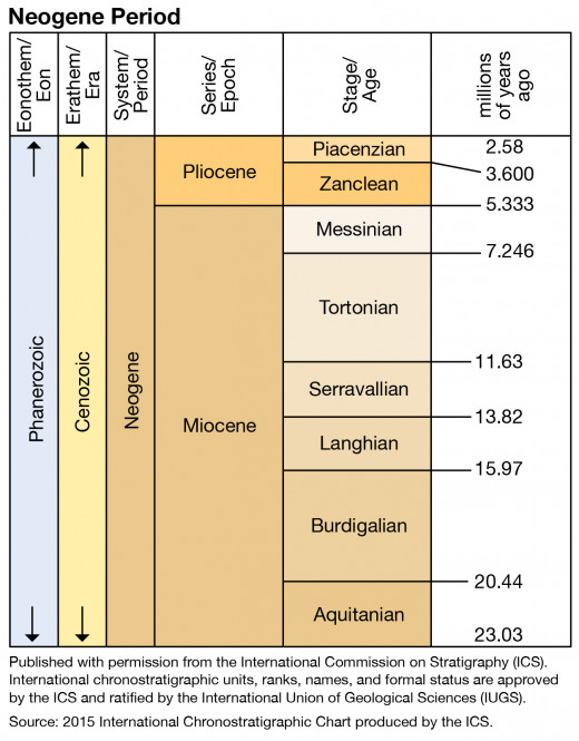 The Langebaan Fossils were deposited about 5 million years ago
