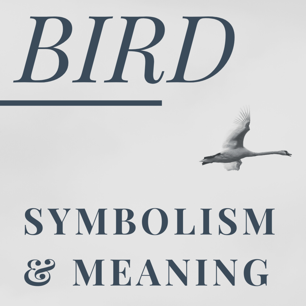 Bird Symbolism Spiritual Meanings And Omens Explained Exemplore