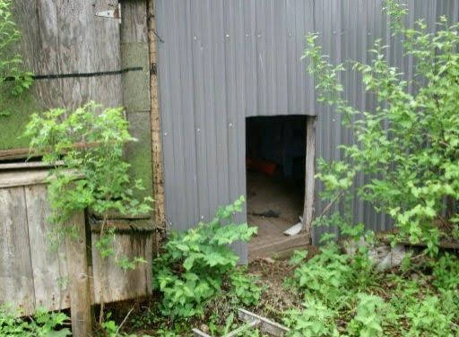Her shed was cozy, complete with a proper milk stand, and just right for a goat who hated the rain.
