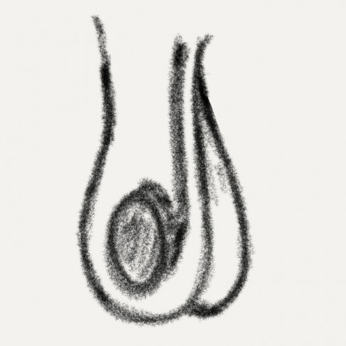 Illustration of relaxed scrotum in hot conditions for heat dissipation