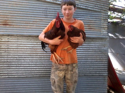 Billy has an affinity for these Rhode Island Red chickens. In consequence, he has studied them, and is knowledgeable about chickens and their care.This interest has led to a business opportunity which may take him far.