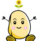 Florist Singapore profile image