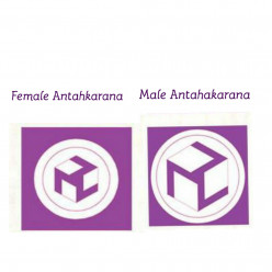 Reiki Symbol Antahakarana the key to use multiple healing and  especially for heart blockages healing