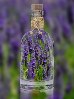 5 Ways To Use Lavender Essential Oil
