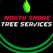 northshoretree01 profile image