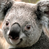 bmwhsd profile image