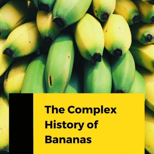 Exploring Bananas The Commonplace Fruit With a Complex History
